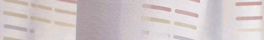 メインイメージ